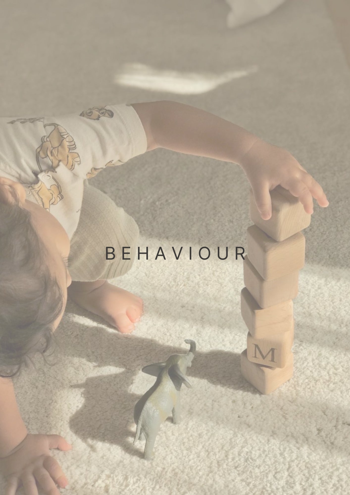 Behaviour